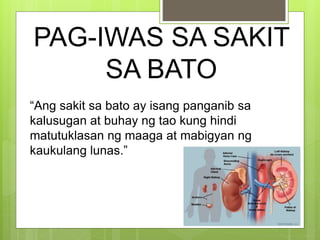 PAG-IWAS SA SAKIT
SA BATO
“Ang sakit sa bato ay isang panganib sa
kalusugan at buhay ng tao kung hindi
matutuklasan ng maaga at mabigyan ng
kaukulang lunas.”
 