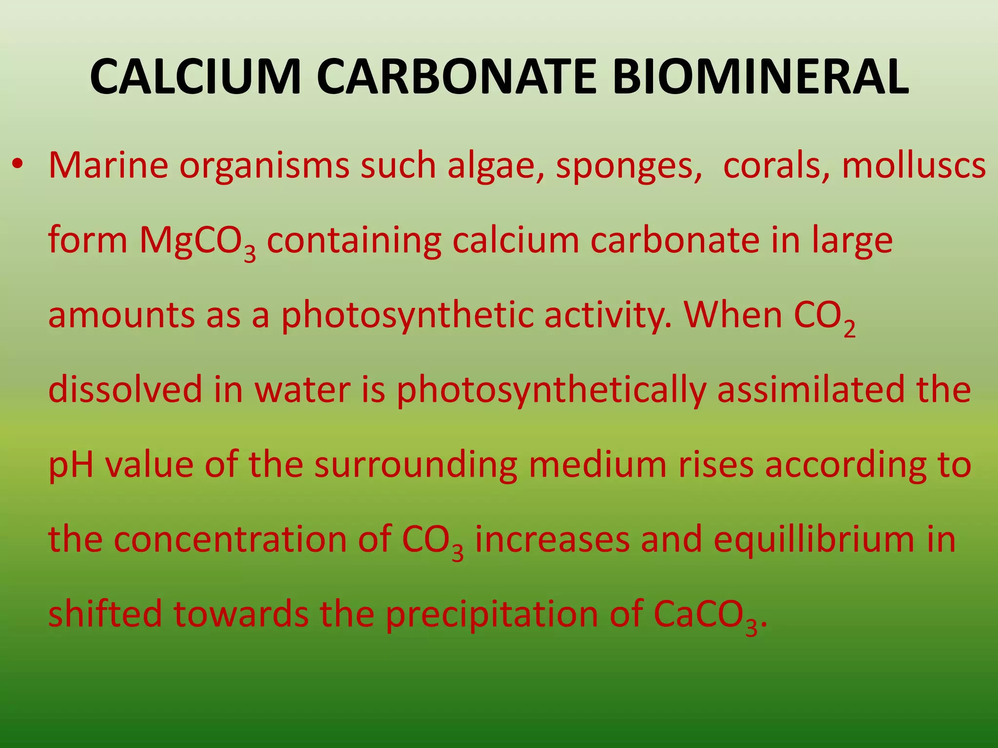CALCIUM CARBONATE BIOMINERAL
• Marine organisms such algae, sponges, corals, molluscs
form MgCO3 containing calcium carbonate in large
amounts as a photosynthetic activity. When CO2
dissolved in water is photosynthetically assimilated the
pH value of the surrounding medium rises according to
the concentration of CO3 increases and equillibrium in
shifted towards the precipitation of CaCO3.
 