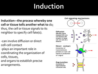 -can involve diffusion or direct
cell-cell contact
-plays an important role in
coordinating the organization of
cells, tissues,
and organs to establish precise
arrangements.
Induction—the process whereby one
cell or tissue tells another what to do;
thus, the cell or tissue signals to its
neighbor to specify cell fate(s).
 