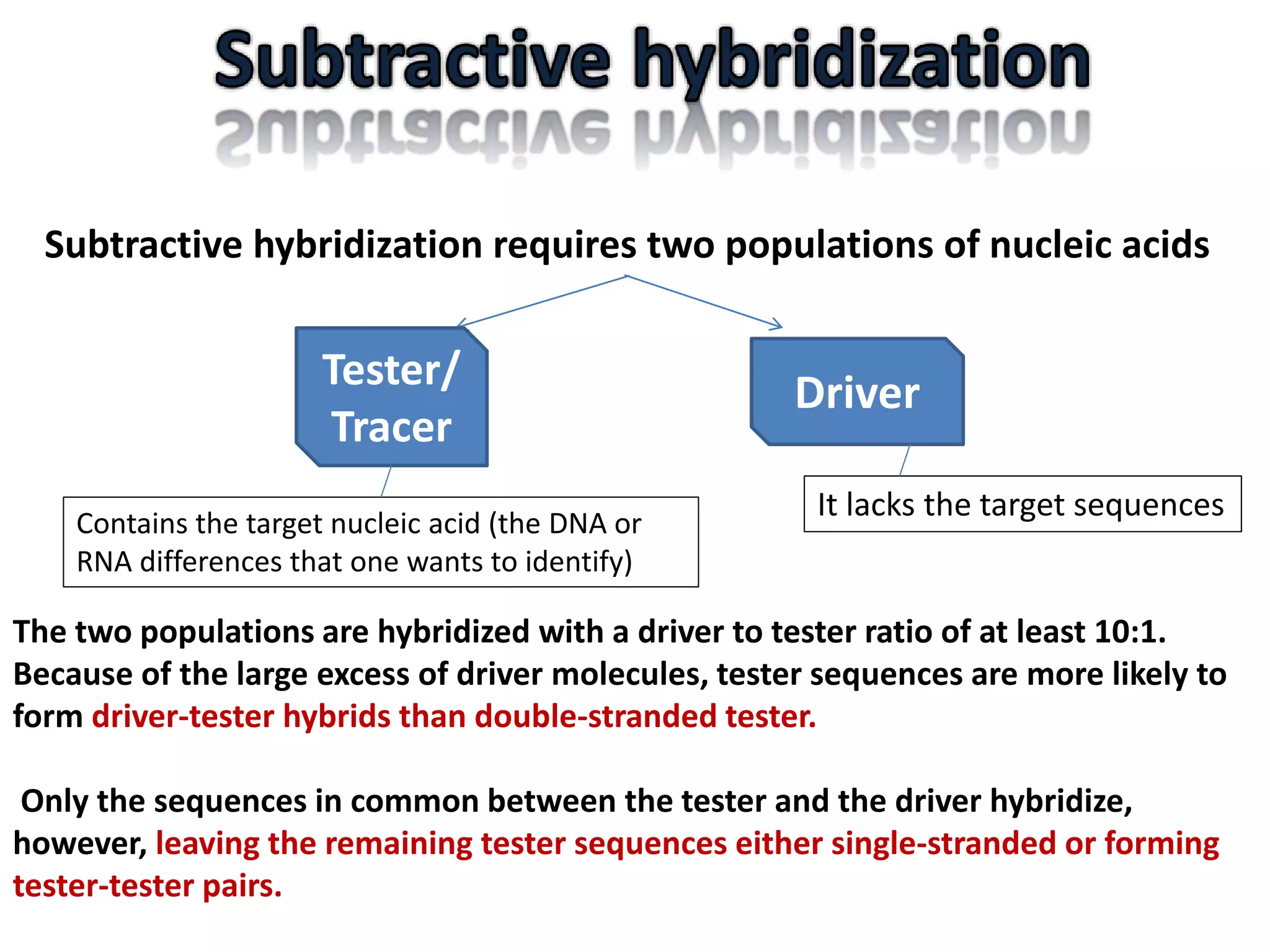 Subtractive hybridization requires two populations of nucleic acids
Tester/
Tracer
Driver
Contains the target nucleic acid (the DNA or
RNA differences that one wants to identify)
It lacks the target sequences
The two populations are hybridized with a driver to tester ratio of at least 10:1.
Because of the large excess of driver molecules, tester sequences are more likely to
form driver-tester hybrids than double-stranded tester.
Only the sequences in common between the tester and the driver hybridize,
however, leaving the remaining tester sequences either single-stranded or forming
tester-tester pairs.
 