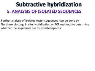 Further analysis of isolated tester sequences can be done by
Northern blotting, in situ hybridization or PCR methods to determine
whether the sequences are truly tester-specific
 