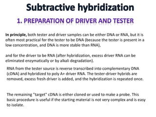 In principle, both tester and driver samples can be either DNA or RNA, but it is
often most practical for the tester to be DNA (because the tester is present in a
low concentration, and DNA is more stable than RNA),
and for the driver to be RNA (after hybridization, excess driver RNA can be
eliminated enzymatically or by alkali degradation).
RNA from the tester source is reverse transcribed into complementary DNA
(cDNA) and hybridized to poly A+ driver RNA. The tester-driver hybrids are
removed, excess fresh driver is added, and the hybridization is repeated once.
The remaining "target" cDNA is either cloned or used to make a probe. This
basic procedure is useful if the starting material is not very complex and is easy
to isolate.
 