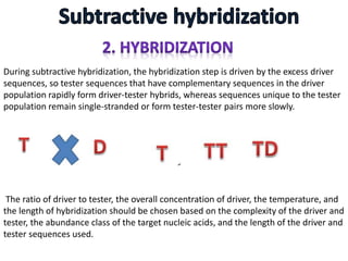 During subtractive hybridization, the hybridization step is driven by the excess driver
sequences, so tester sequences that have complementary sequences in the driver
population rapidly form driver-tester hybrids, whereas sequences unique to the tester
population remain single-stranded or form tester-tester pairs more slowly.
The ratio of driver to tester, the overall concentration of driver, the temperature, and
the length of hybridization should be chosen based on the complexity of the driver and
tester, the abundance class of the target nucleic acids, and the length of the driver and
tester sequences used.
 