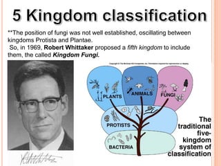 **The position of fungi was not well established, oscillating between
kingdoms Protista and Plantae.
So, in 1969, Robert Whittaker proposed a fifth kingdom to include
them, the called Kingdom Fungi.
 