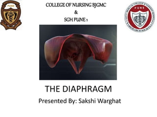THE DIAPHRAGM
Presented By: Sakshi Warghat
COLLEGEOF NURSINGBJGMC
&
SGHPUNE 1
 
