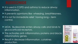 BUDESONIDE
 It is used in COPD and asthma to reduce airway
inflammation.
 It prevents sypmtoms like- wheezing, breathlessness.
 It is not for immediate relief having long – term
control.
 MOA: Budesonide enters airway cells and binds to
glucocorticoid receptors.
 This activates anti- inflammatory proteins and blocks
inflammatory genes.
 Result in decrease inflammation, cytokines
production.
 