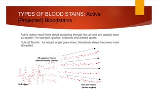 TYPES OF BLOOD STAINS: Active
(Projected) Bloodstains
Active stains result from blood projecting through the air and are usually seen
as spatter. For example, gushes, splashes and arterial spurts.
Rule of Thumb: As impact angle goes down, bloodstain shape becomes more
elongated.
7
 
