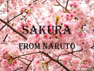 Sakura
From Naruto
 