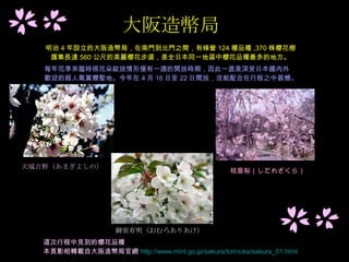 08 Sakura