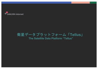 衛星データプラットフォーム「Tellus」
The Satellite Data Platform “Tellus”
 