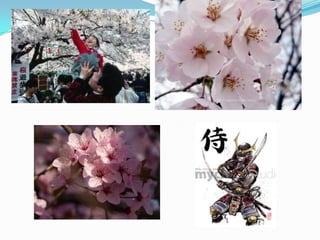 manejo de información 