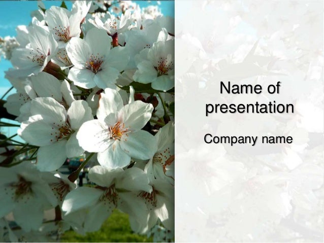 sakura powerpoint template
