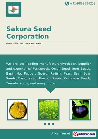 +91-9899594203

Sakura Seed
Corporation
www.indiamart.com/sakuraseed

We are the leading manufacturer/Producer, supplier
and exporter of Fenugreek, Onion Seed, Beet Seeds,
Basil, Hot Pepper, Gourd, Radish, Peas, Bush Bean
Seeds, Carrot seed, Broccoli Seeds, Coriander Seeds,
Tomato seeds, and many more.

A Member of

 