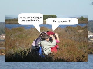 Un  avisador !!!! Jo me pensava que  era una branca. 