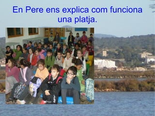 En Pere ens explica com funciona una platja. 