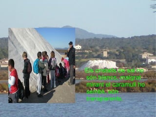 Els cristalls de sal no són blancs, malgrat mirant el caramull ho sembli, són transparents.  