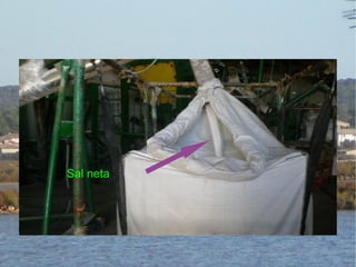Sal neta 