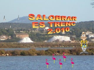 SALOBRAR  ES TRENC 2.010 