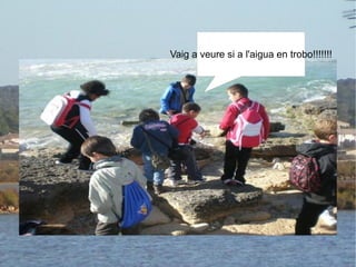 Vaig a veure si a l'aigua en trobo!!!!!!! 