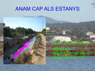 ANAM CAP ALS ESTANYS Quan  la  pluja omple massa els  estanys,han de treure aigua cap a la mar. 