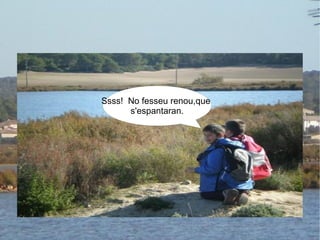 Ssss!  No fesseu renou,que  s'espantaran. 
