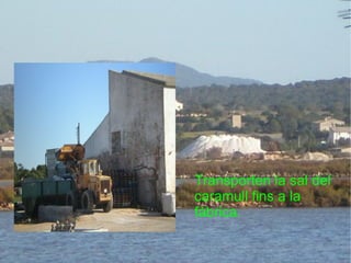 Transporten la sal del caramull fins a la fàbrica. 