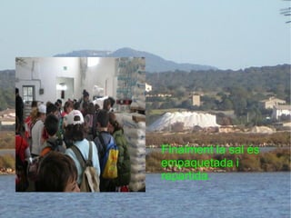 Finalment la sal és empaquetada i repartida. 