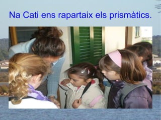 Na Cati ens rapartaix els prismàtics. 