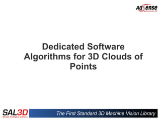 Dedicated Software
Algorithms for 3D Clouds of
          Points
 