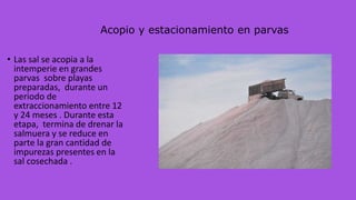 Acopio y estacionamiento en parvas
• Las sal se acopia a la
intemperie en grandes
parvas sobre playas
preparadas, durante un
periodo de
extraccionamiento entre 12
y 24 meses . Durante esta
etapa, termina de drenar la
salmuera y se reduce en
parte la gran cantidad de
impurezas presentes en la
sal cosechada .
 