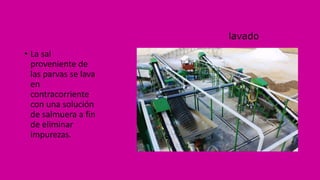 lavado
• La sal
proveniente de
las parvas se lava
en
contracorriente
con una solución
de salmuera a fin
de eliminar
impurezas.
 