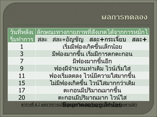 ตารางที่  4.1  ผลจากการเปลี่ยนแปลงในแต่ละวันจากการสังเกตด้วยตาเปล่า วันที่หลังเริ่มทำการหมัก ลักษณะทางกายภาพที่สังเกตได้จากการหมักไวน์ สละ  สละ + อัญชัญ   สละ + กระเจี๊ยบ   สละ +   ใบเตย 1 เริ่มมีฟองเกิดขึ้นเล็กน้อย 3 มีฟองมากขึ้น เริ่มมีการตกตะกอน 7 มีฟองมากขึ้นอีก มีตะกอนตกอยู่ที่ก้นขวดและเนื้อสละลอยอยู่ที่ผิว 9 ฟองมีจำนวนเท่าเดิม ไวน์เริ่มใส 11 ฟองเริ่มลดลง ไวน์มีความใสมากขึ้น 15 ไม่มีฟองเกิดขึ้น ไวน์ใสมากกว่าเดิม 17 ตะกอนมีปริมาณมากขึ้น 20 ตะกอนมีปริมาณมาก ไวน์ใส มีอนุภาคลอยอยู่เล็กน้อย 