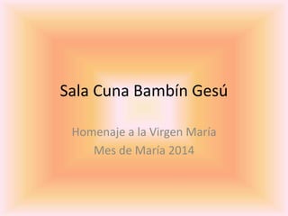 Sala Cuna Bambín Gesú 
Homenaje a la Virgen María 
Mes de María 2014 
 