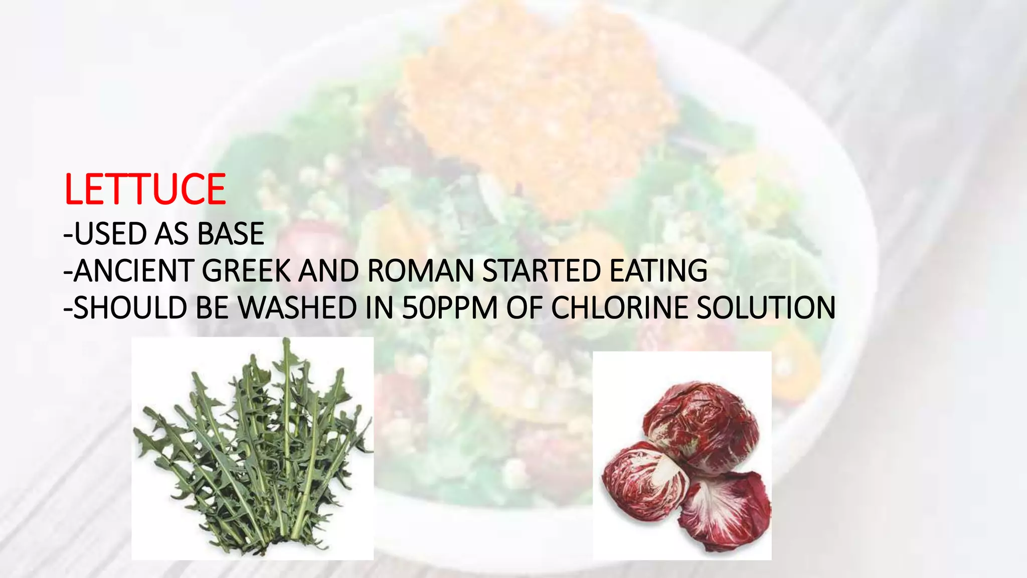 LETTUCE
-USED AS BASE
-ANCIENT GREEK AND ROMAN STARTED EATING
-SHOULD BE WASHED IN 50PPM OF CHLORINE SOLUTION
 