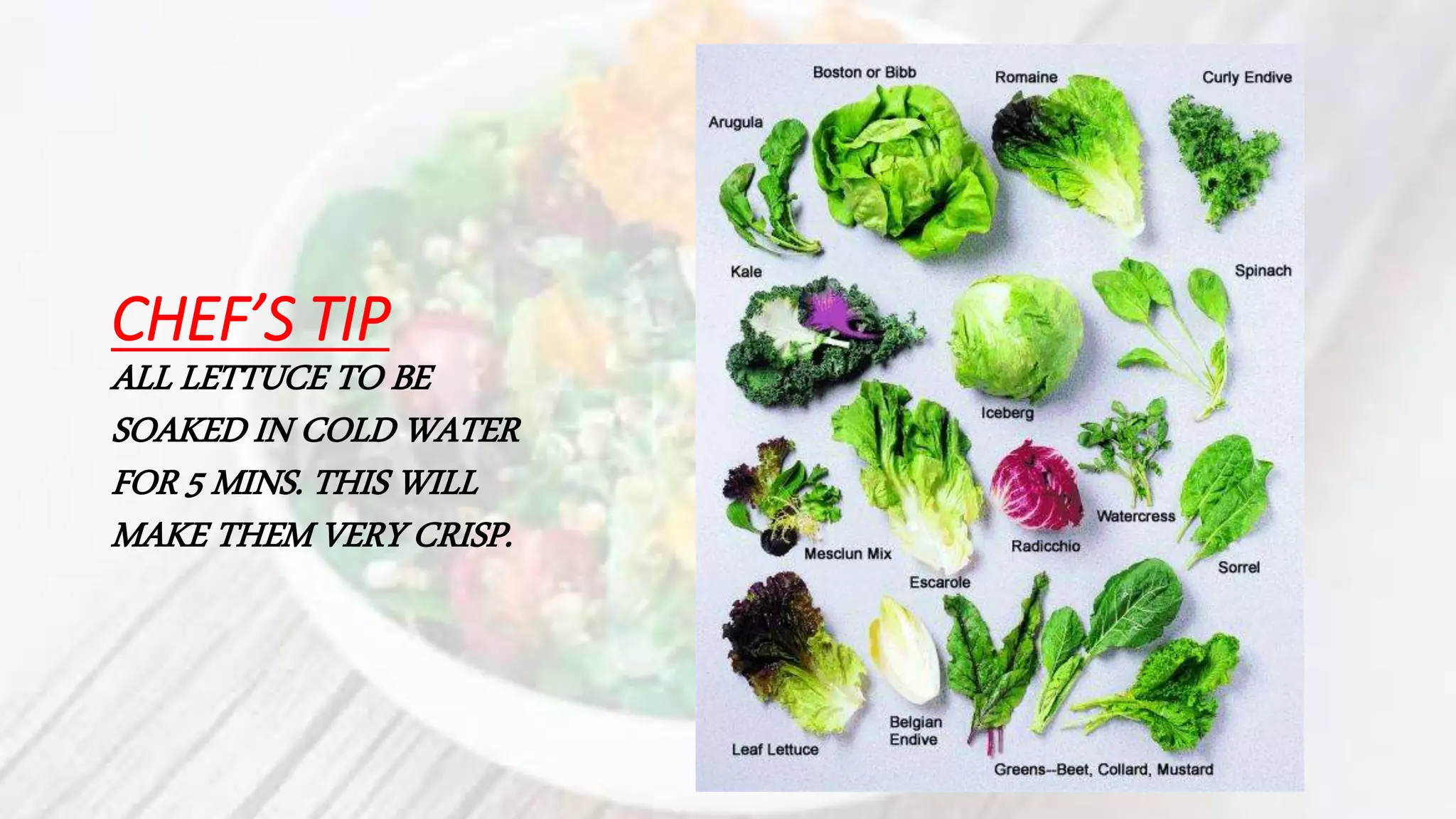 CHEF’S TIP
ALL LETTUCE TO BE
SOAKED IN COLD WATER
FOR 5 MINS. THIS WILL
MAKE THEM VERY CRISP.
 