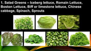1. Salad Greens – Iceberg lettuce, Romain Lettuce,
Boston Lettuce, Biff or limestone lettuce, Chinese
cabbage, Spinach, Sprouts
 