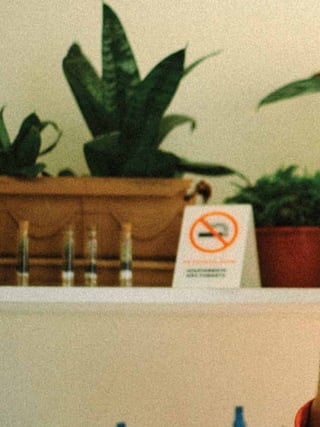 Projeto Salada de Frutas: Zine