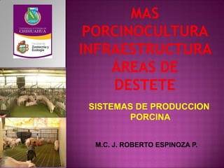 M.C. J. ROBERTO ESPINOZA P. 
SISTEMAS DE PRODUCCION 
PORCINA  