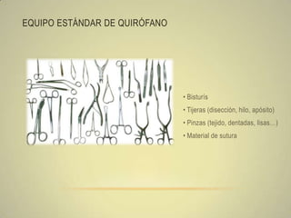 EQUIPO ESTÁNDAR DE QUIRÓFANO




                               • Bisturís
                               • Tijeras (disección, hilo, apósito)
                               • Pinzas (tejido, dentadas, lisas…)
                               • Material de sutura
 