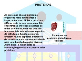 PROTEÍNAS


As proteínas são as moléculas
orgânicas mais abundantes e
importantes nas células e perfazem
50% ou mais de seu peso seco. São
encontradas em todas as partes de
todas as células, uma vez que são
fundamentais sob todos os aspectos
da estrutura e função celulares.
                                         Esquemas de
Existem muitas espécies diferentes
                                     proteínas globulares e
de proteínas, cada uma especializada
                                            fibrosas
para uma função biológica diversa.
Além disso, a maior parte da
informação genética é expressa pelas
proteínas.
 