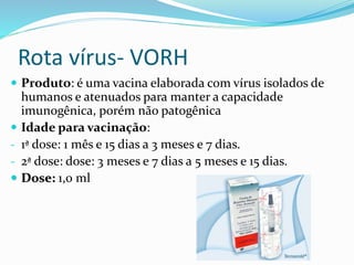 Rota vírus- VORH
 Produto: é uma vacina elaborada com vírus isolados de
humanos e atenuados para manter a capacidade
imunogênica, porém não patogênica
 Idade para vacinação:
- 1ª dose: 1 mês e 15 dias a 3 meses e 7 dias.
- 2ª dose: dose: 3 meses e 7 dias a 5 meses e 15 dias.
 Dose: 1,0 ml
 