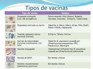 Tipos de vacinas
 