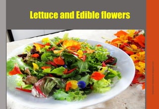 Lettuce and Edible flowers
Delhindra/chefqtrainer.blogspot.com
 