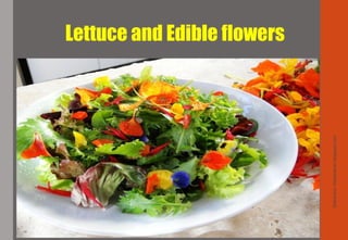 Lettuce and Edible flowers
Delhindra/chefqtrainer.blogspot.com
 