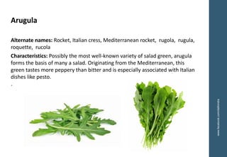 www.facebook.com/delhindra
Arugula
Alternate names: Rocket, Italian cress, Mediterranean rocket, rugola, rugula,
roquette, rucola
Characteristics: Possibly the most well-known variety of salad green, arugula
forms the basis of many a salad. Originating from the Mediterranean, this
green tastes more peppery than bitter and is especially associated with Italian
dishes like pesto.
.
 