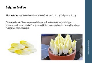 www.facebook.com/delhindra
Belgian Endive
Alternate names: French endive, witloof, witloof chicory, Belgium chicory
Characteristics: The unique oval shape, soft satiny texture, and slight
bitterness all mean endive's a great addition to any salad. It's scooplike shape
makes for edible servers
 