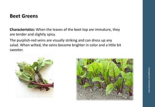 www.facebook.com/delhindra
Beet Greens
Characteristics: When the leaves of the beet top are immature, they
are tender and slightly spicy.
The purplish-red veins are visually striking and can dress up any
salad. When wilted, the veins become brighter in color and a little bit
sweeter.
 