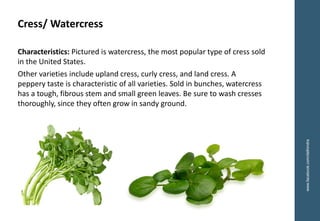 www.facebook.com/delhindra
Cress/ Watercress
Characteristics: Pictured is watercress, the most popular type of cress sold
in the United States.
Other varieties include upland cress, curly cress, and land cress. A
peppery taste is characteristic of all varieties. Sold in bunches, watercress
has a tough, fibrous stem and small green leaves. Be sure to wash cresses
thoroughly, since they often grow in sandy ground.
 