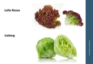 www.facebook.com/delhindra
Lollo Rosso
Iceberg
 
