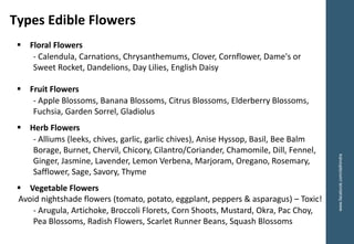 ▪ Floral Flowers
- Calendula, Carnations, Chrysanthemums, Clover, Cornflower, Dame's or
Sweet Rocket, Dandelions, Day Lilies, English Daisy
▪ Fruit Flowers
- Apple Blossoms, Banana Blossoms, Citrus Blossoms, Elderberry Blossoms,
Fuchsia, Garden Sorrel, Gladiolus
▪ Herb Flowers
- Alliums (leeks, chives, garlic, garlic chives), Anise Hyssop, Basil, Bee Balm
Borage, Burnet, Chervil, Chicory, Cilantro/Coriander, Chamomile, Dill, Fennel,
Ginger, Jasmine, Lavender, Lemon Verbena, Marjoram, Oregano, Rosemary,
Safflower, Sage, Savory, Thyme
▪ Vegetable Flowers
Avoid nightshade flowers (tomato, potato, eggplant, peppers & asparagus) – Toxic!
- Arugula, Artichoke, Broccoli Florets, Corn Shoots, Mustard, Okra, Pac Choy,
Pea Blossoms, Radish Flowers, Scarlet Runner Beans, Squash Blossoms
Types Edible Flowers
www.facebook.com/delhindra
 